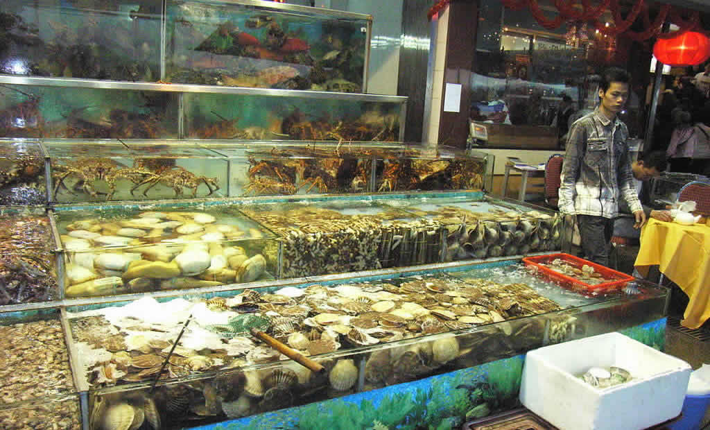Seafood Restaurant in Seafood Street, Sai Kung Town